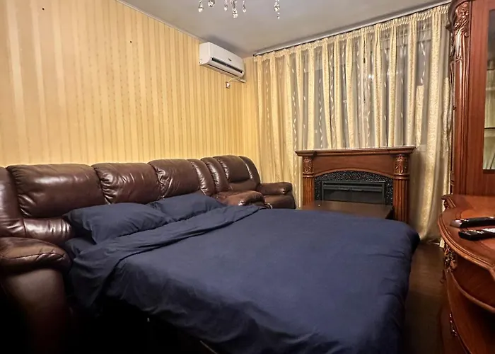 Cozy Stefan Cel Mare 公寓 *